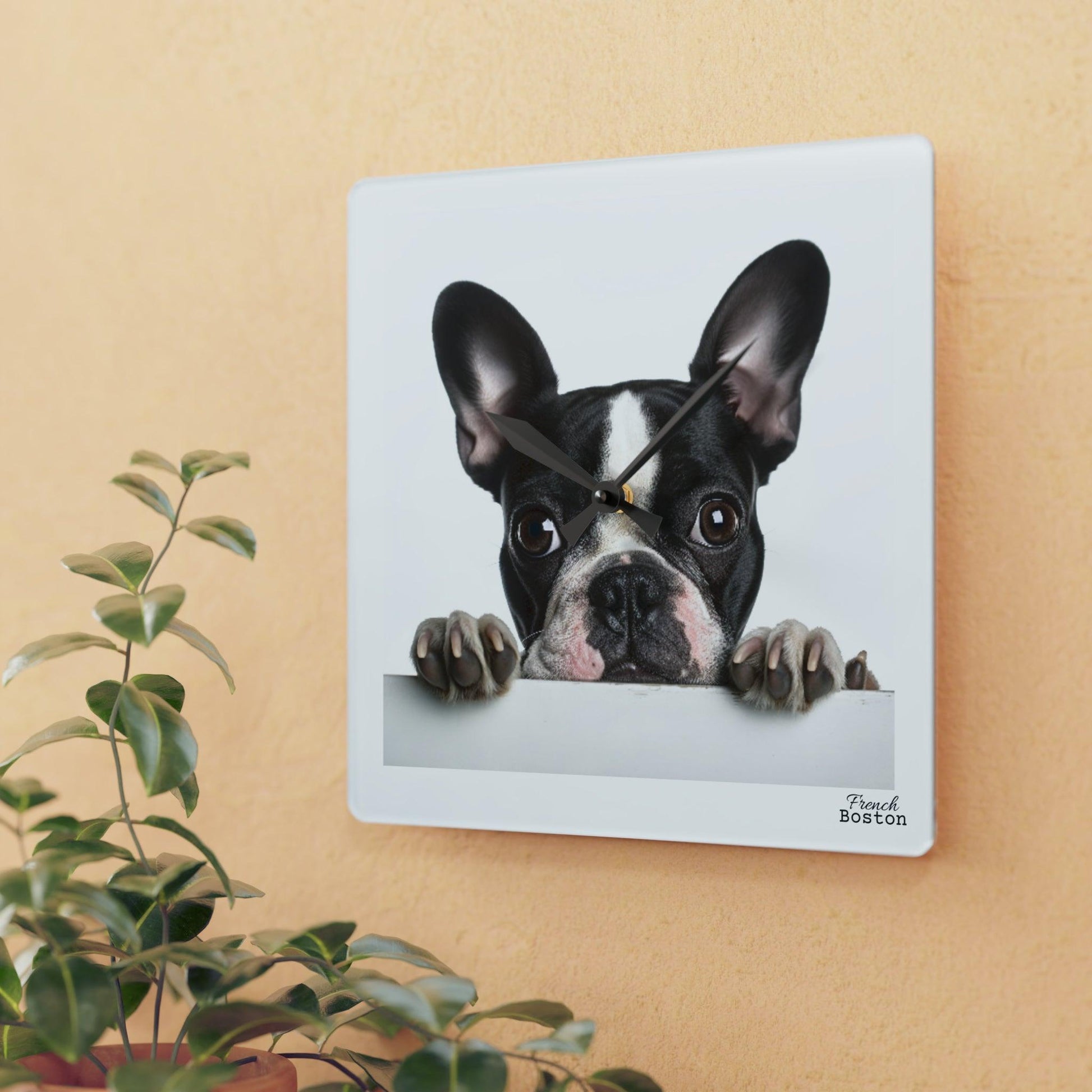 French Boston Terrier Acrylic Wall Clock - Square - French Boston