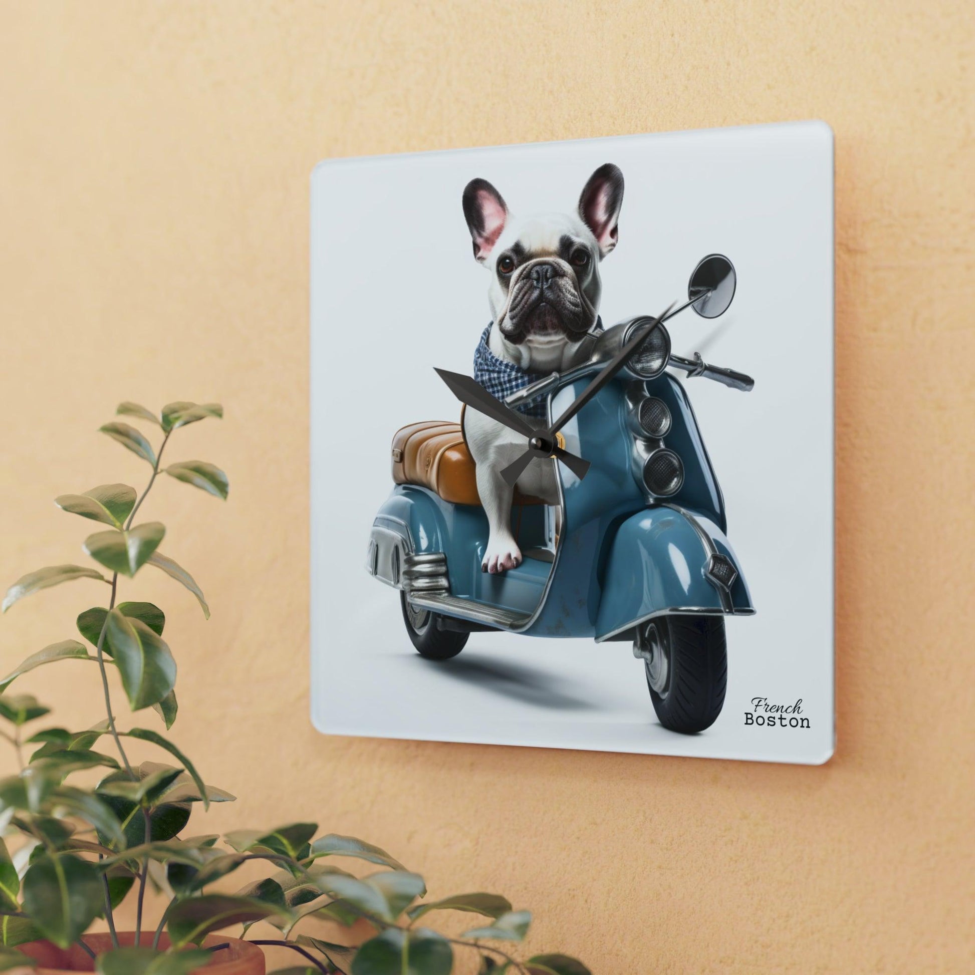 French Bulldog on Scooter Acrylic Wall Clock - Square - French Boston