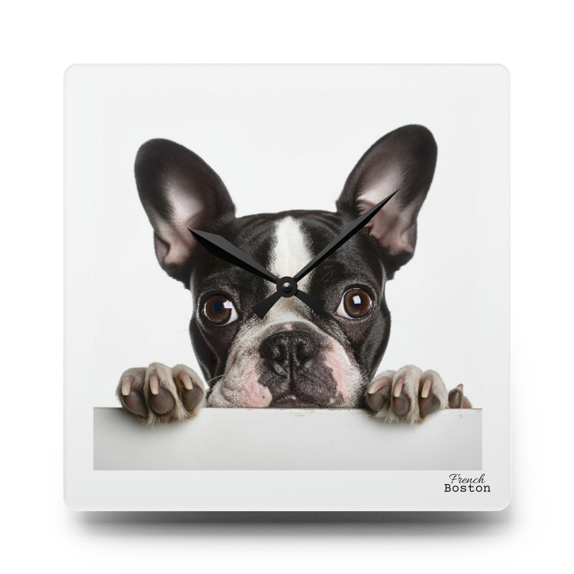 French Boston Terrier Acrylic Wall Clock - Square - French Boston