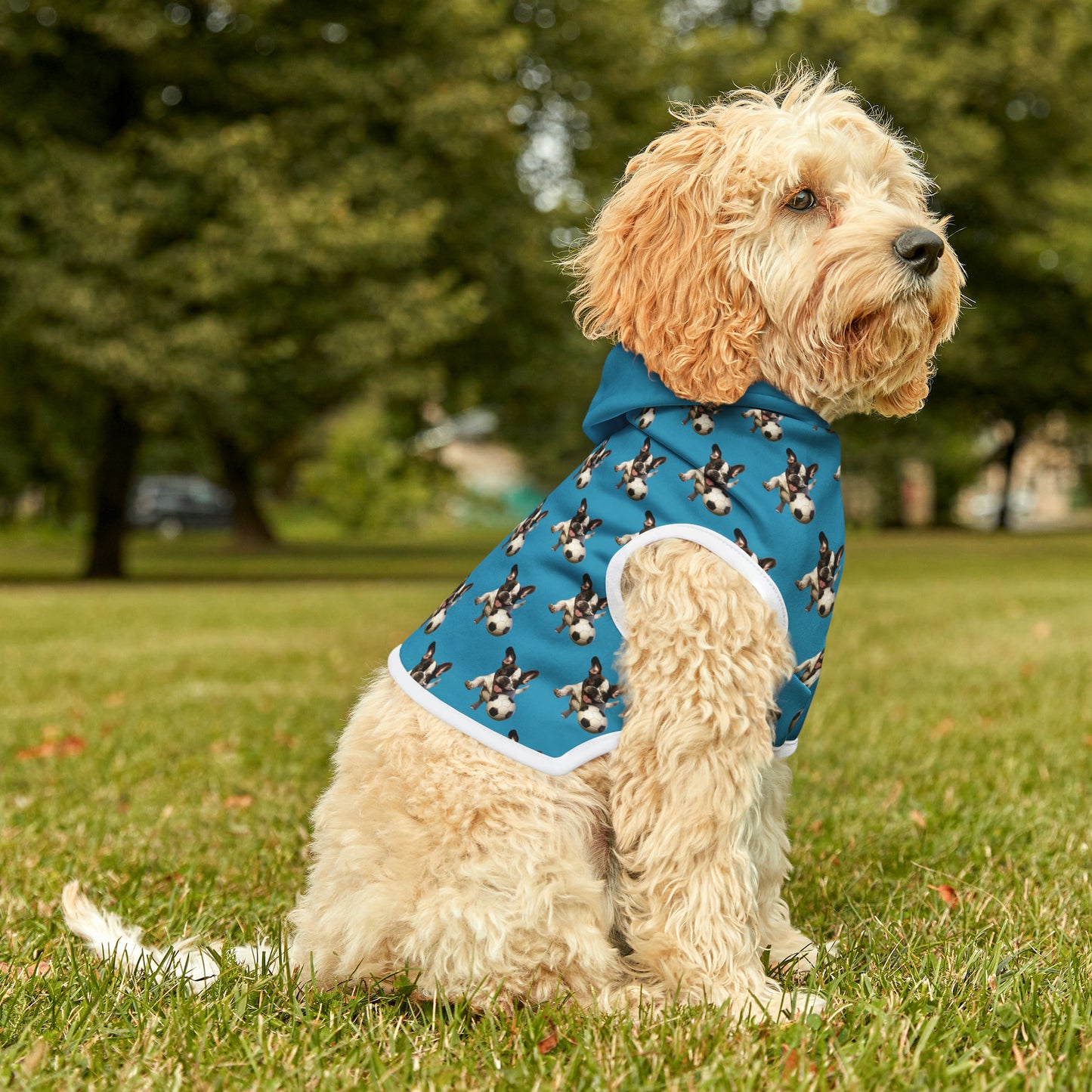 French Boston playing Soccer Pattern Pet Hoodie Turquoise Color - French Boston Unique Design - French Boston