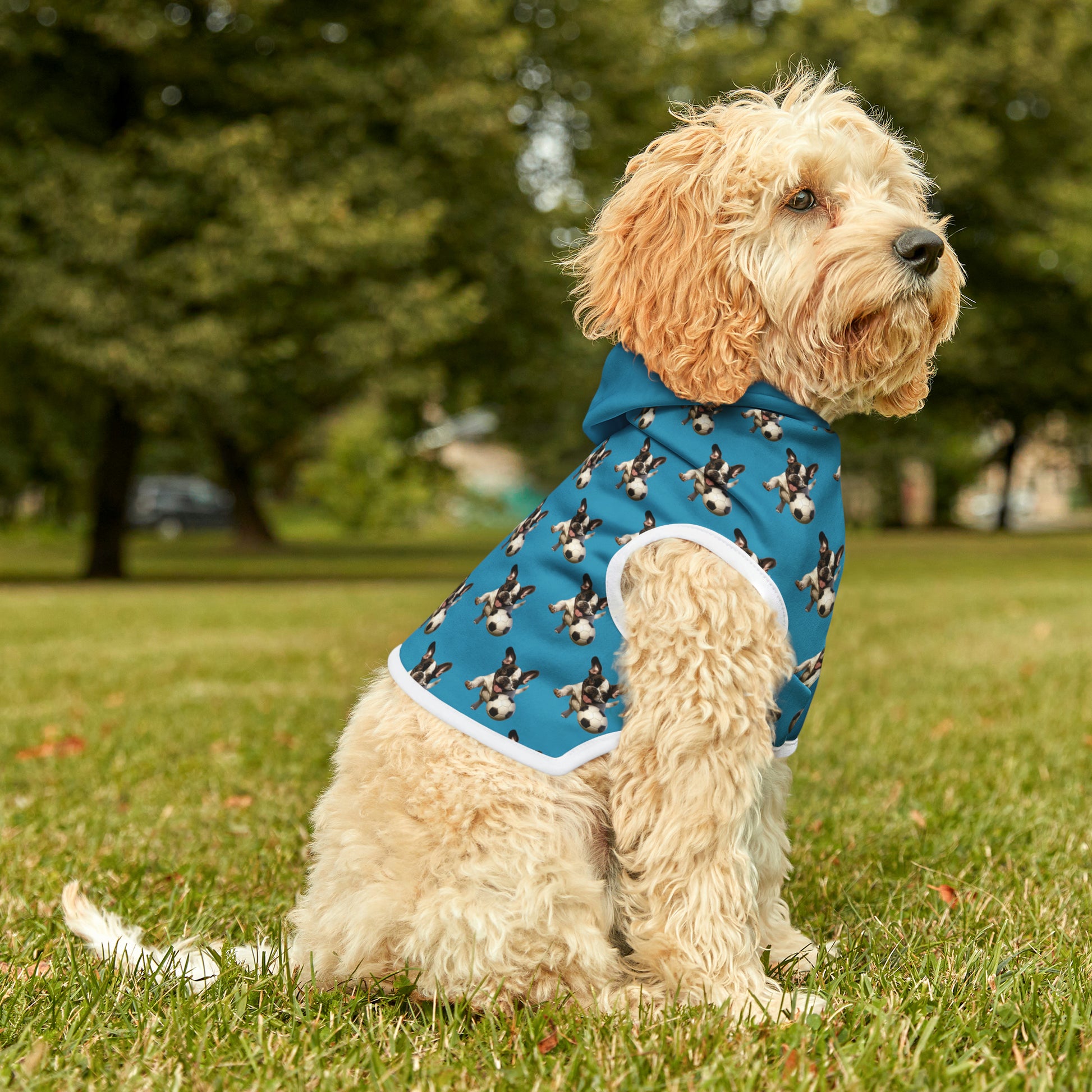 French Boston playing Soccer Pattern Pet Hoodie Turquoise Color - French Boston Unique Design - French Boston