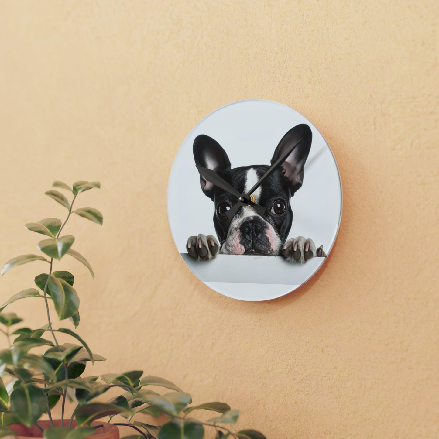 French Boston Terrier Acrylic Wall Clock - Square - French Boston